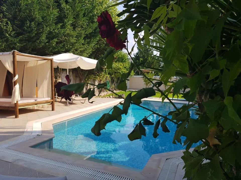 Villa Adonis With Private Pool By Lefkadastay Eksteriør billede
